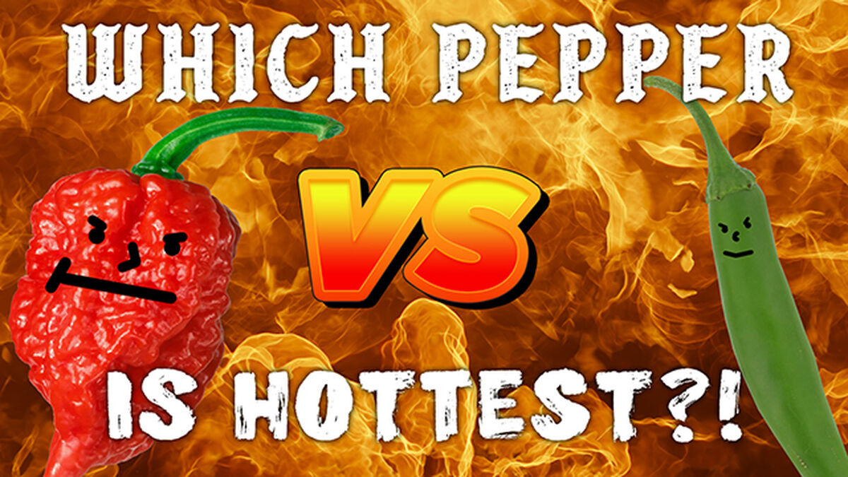 Which Pepper is Hottest?! image number null